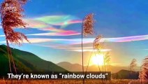 This Is How Those Incredible and Rare ‘Rainbow Clouds’ Form