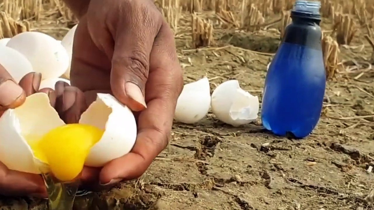 Fishing Technique Using eggs | Fishing ideas and techniques | CreativeVilla.