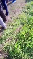 मृतक मजदूर को देखने के लिए उमड़ी भीड़