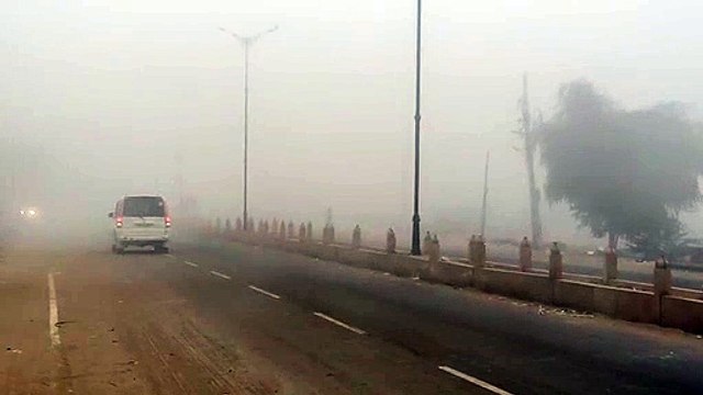शीतलहर का प्रकोप जारी, दिनभर रहा कोहरे का असर