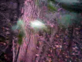 Railroad Bill Played on Hohner MS Blues Harp 🎵