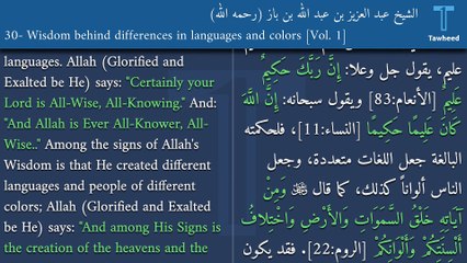 Why Do Languages and Colors Differ Despite a Common Origin? 🌍