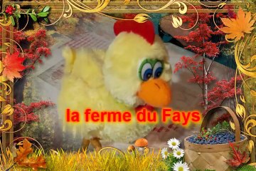 Bonne année 2021 de la ferme du Fays
