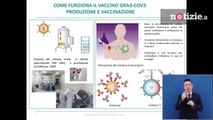 Coronavirus, vaccino italiano è pronto: ecco come funziona l'antidoto di Reithera