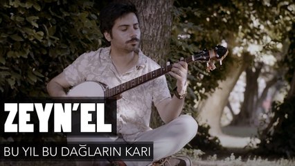 Zeyn'el - Bu Yıl Bu Dağların Karı