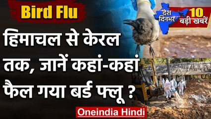 Bird Flu: Kerala में आपदा घोषित, Himachal, Rajasthan, Madhya Pradesh में अलर्ट जारी | वनइंडिया हिंदी