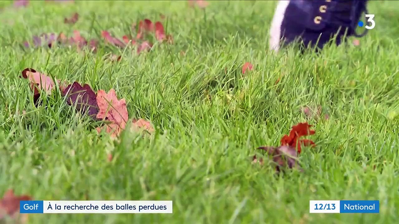 Golf : profession ramasseur de balles perdues dans les lacs