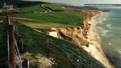 New T. Rex Related Dinosaur Species Discovered During a Family Vacation