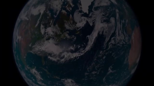 10 Unknown Species Newly Discovered