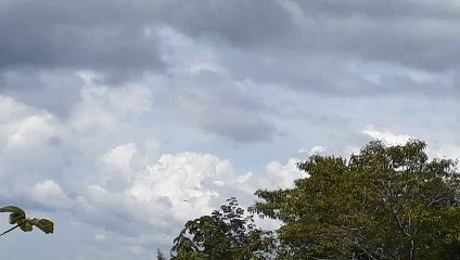 Boeing 737-800 PR-GGM na aproximação final antes de pousar em Manaus vindo de Brasília