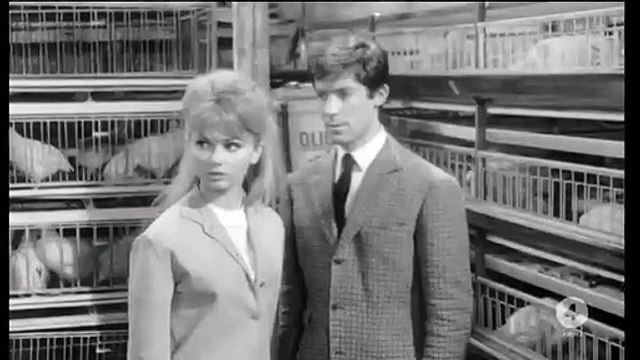 Franco e Ciccio - Pugni pupe e marinai (1961) Secondo Tempo