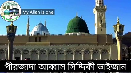 আল্লাহ ও আল্লাহর রাসূলকে ভালোবাসেন | Abbas Siddiqui Bhaijaan