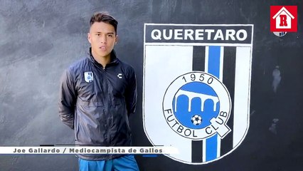 Joe Gallardo es nuevo jugador de los Gallos Blancos