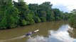 Jungla del Amazonas: Gran reserva mundial de recursos medicinales