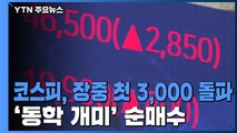 코스피, 장중 첫 3,000 돌파...'동학 개미' 순매수 / YTN