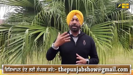 ਗੋਹਾ ਸੁੱਟਣ 'ਤੇ ਪਰਚਿਆਂ 'ਤੇ ਭੜਕੇ ਖਹਿਰਾ  Sukhpal Khaira angry on BJP Leaders | The Punjab TV