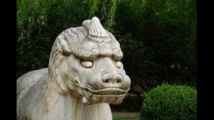 Standard Chinese (Audio), Biographic Information Module: Unit-08, Drills Tape