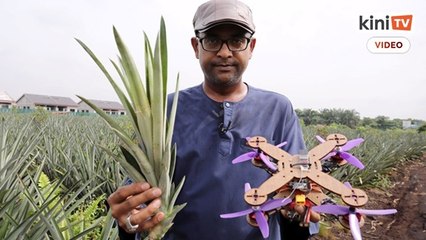 Penyelidik Malaysia ubah sisa daun nanas jadi bahan bina dron