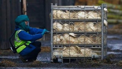 Centre issues alert to states amid bird flu scare