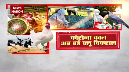 Bird Flu: Dr Shikha explaining myths and facts about eating non veg