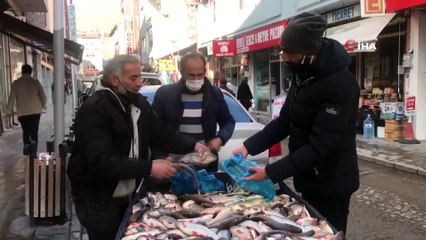 Çoruh Balığı tezgahta yerini aldı