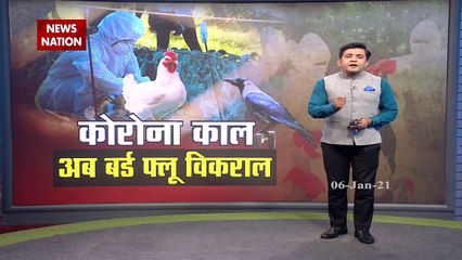 Bird Flu: How to protect yourself from bird flu?