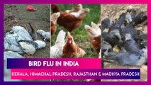Bird Flu Scare In India: What Is The H5N8 Virus, Symptoms & Which States Affected?