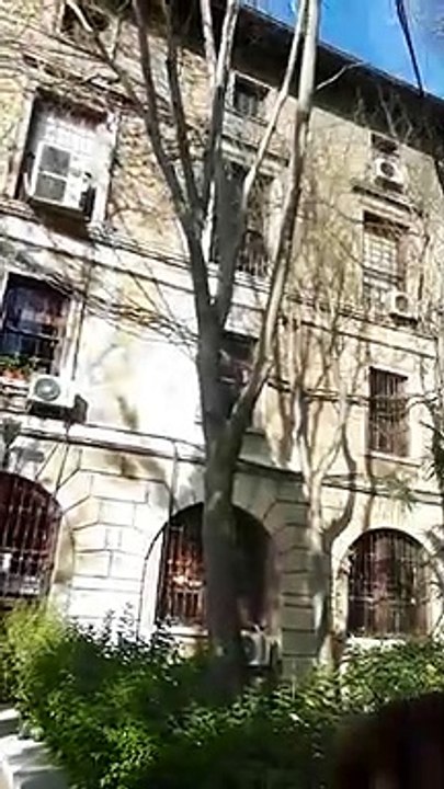 Boğaziçi'nde eylem