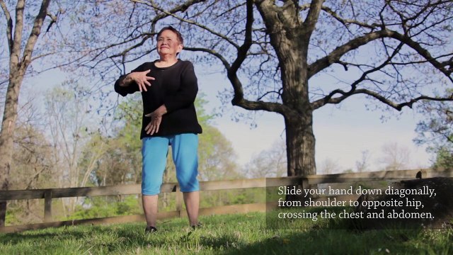 Qigong Self-Massage_| Body & Limbs