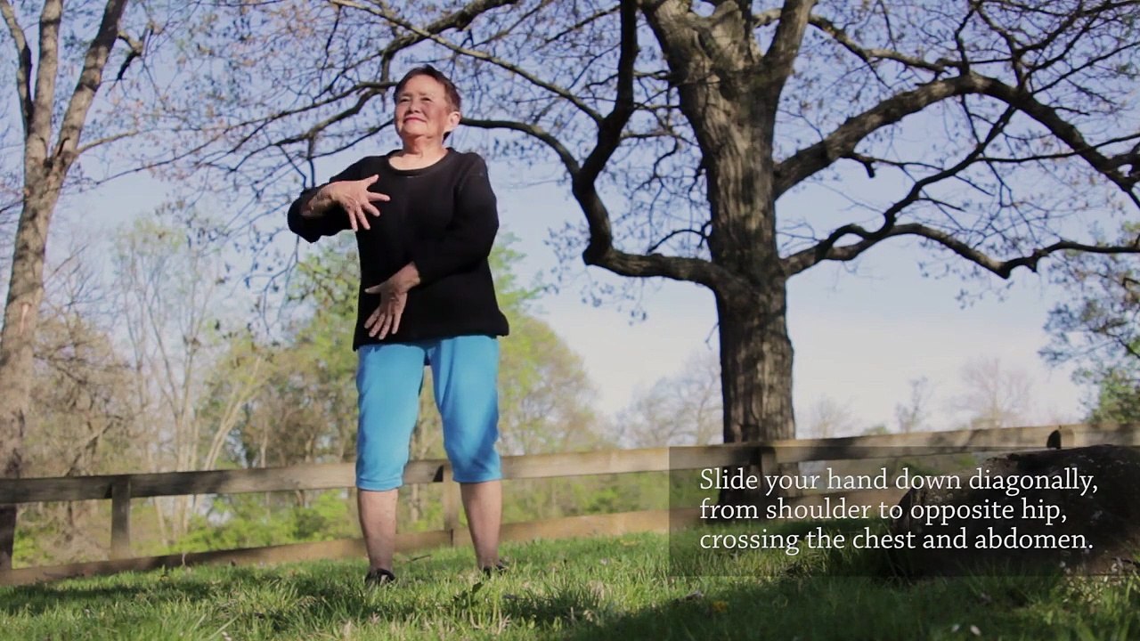 Qigong Self-Massage_| Body & Limbs