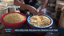 Harga Kedelai Meroket Pengusaha Tahu Di Gowa Terancam Gulung Tikar