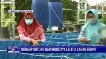 Peternak Ikan Lele di Palembang Mulai Gunakan Teknik Bioflok, Apa Itu?