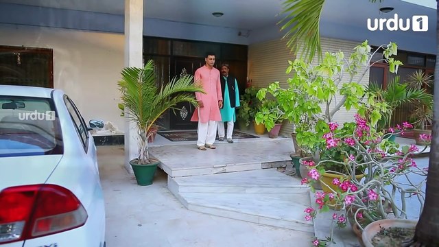 Malaika | OST | Qavi Khan | Behroz Sabzwari | Shehzad Raza | Moamar Rana | Pakistani Drama | Urdu1