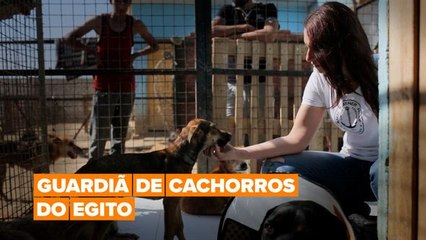 Guardiã de cachorros perdidos do Egito