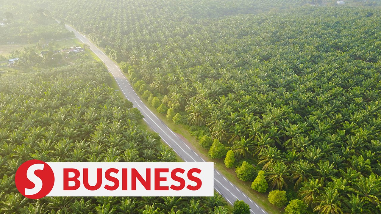 CPO outlook remains rosy amid supply constraints
