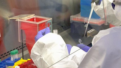 직원 신속항원검사가 대책?..."정확도 떨어져 감염자 놓쳐" / YTN