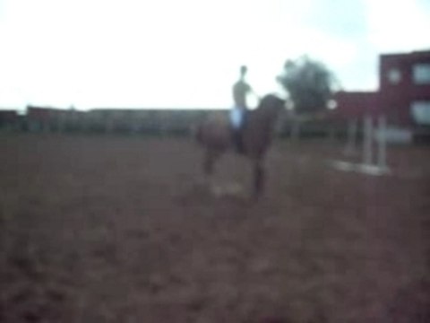 yassine saut d'obstacle maroc khouribga casablanca lille