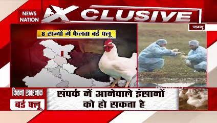 Ground report from India-Pak border wetlands birds sampling