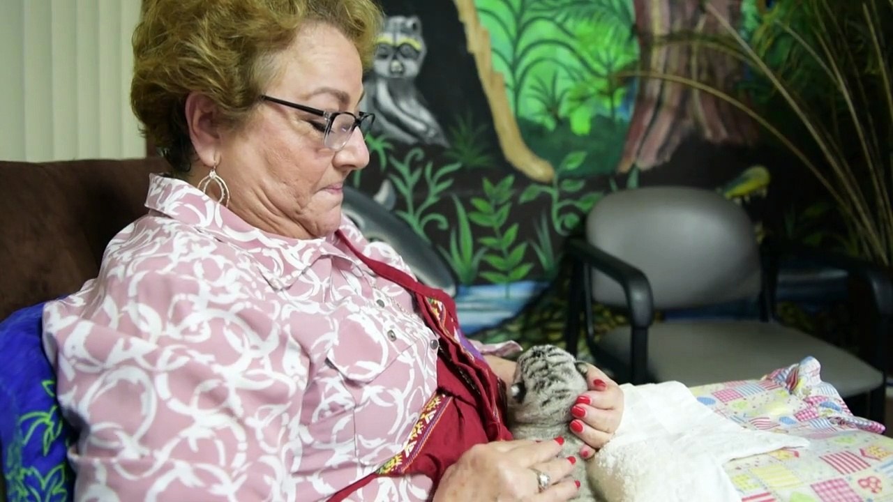 Nicaragua : naissance dans un zoo d'une petite tigresse blanche