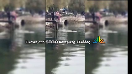 Πώς τραυματίστηκε ο νεαρός στην Αμάρυνθο