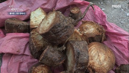 '야 너 칡 좀 씹어봤냐?' 산에서만 즐길 수 있는 허세?!