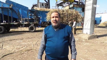 جولة لـ قناة "تن"داخل أكبر مصانع إنتاج السكر فى مصر بكوم أمبو مع بدء موسم عصير القصب