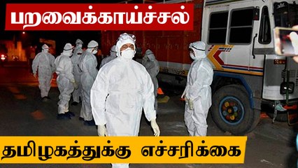 பறவைக்காய்ச்சல் எதிரொலி.. தமிழகத்துக்கு மத்திய அரசு எச்சரிக்கை!