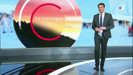 Montagne : une balade avec des chiens de traîneaux