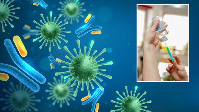 ¿Cuánto tardan en generarse los anticuerpos contra el covid después de vacunarse?