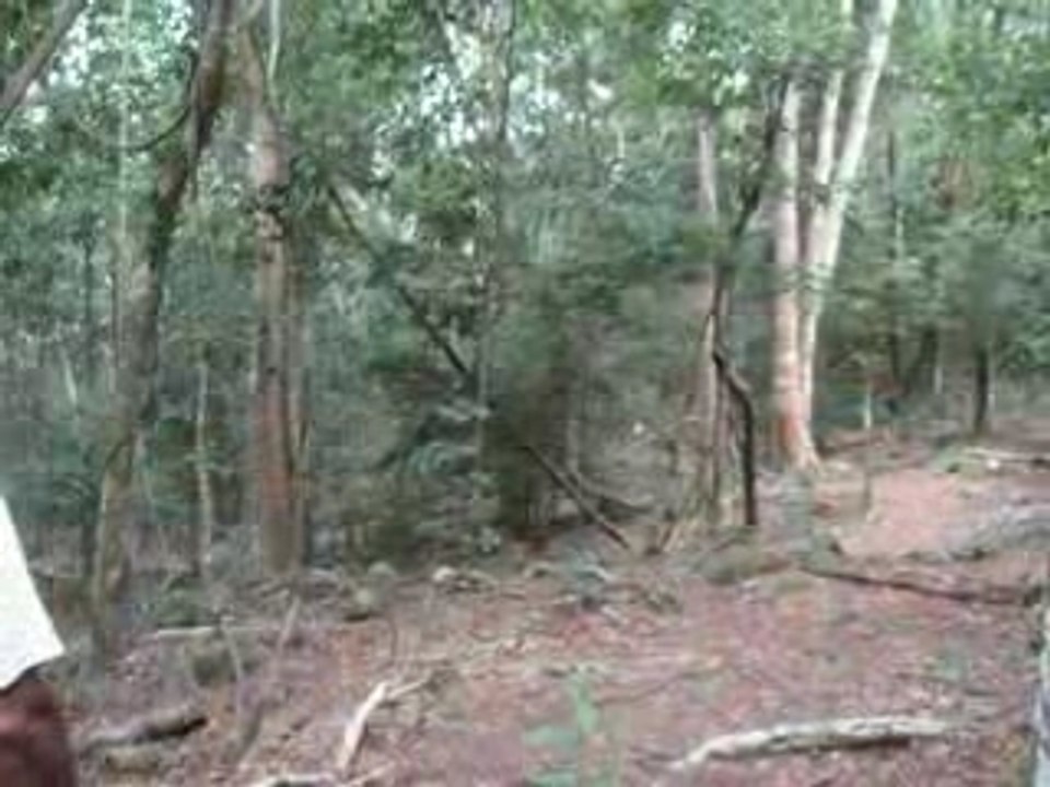 UCPA guadeloupe les saintes fevrier 2008