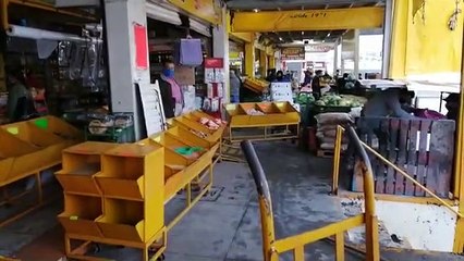 Como el Ave Fénix, emerge de las cenizas ‘La Tapatía’ tras fuerte incendio