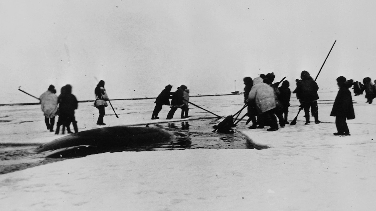 HistoryHistory's Greatest MysteriesCursed Arctic Expedition Shocking