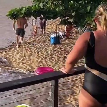 Le surfeur Mikey Wright sauve une femme de la noyade (Hawaï)