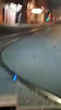 Oiseaux morts à cause des feux d'artifice du Nouvel An (Rome)